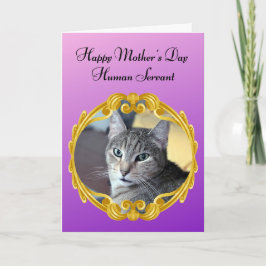 Tarjeta Gato gracioso gobierna el día de la madre en el ho