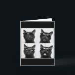 Tarjeta Gato gráfico divertido Selfie cabina de fotos dive<br><div class="desc">Gato gráfico divertido Selfie cabina de fotos divertido _5</div>