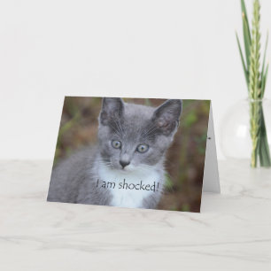 Tarjeta Gato Gris Atrasado Cumpleaños