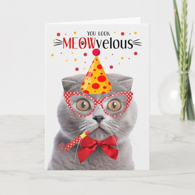 Tarjeta Gato gris frío escocés MEOWvelous Cumpleaños (Anverso)
