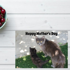 Tarjeta Gato gris y gatito negro feliz día de la madre