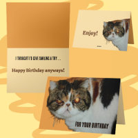 Gato gruñón y gruñón, exótico cumpleaños gracioso 