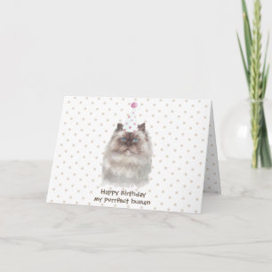 Tarjeta Gato Himalayo con Sombrero de Fiesta