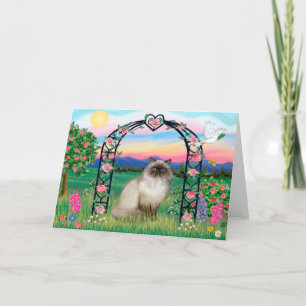 Tarjeta Gato Himalayo - Rosaleda