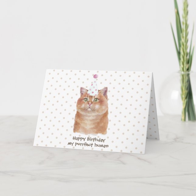 Tarjeta Gato Hosico con Sombrero de Fiesta (Anverso)