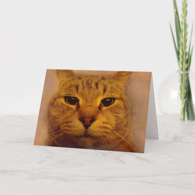 Tarjeta Gato Impaciente Bossy Bien (Anverso)