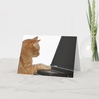 Tarjeta gato informático