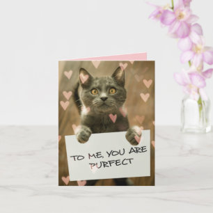 Tarjeta Gato Lindo & Corazones Eres Perfecto