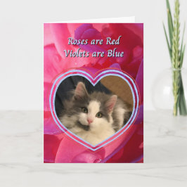 Tarjeta Gato lindo, el gato es mi San Valentín favorito