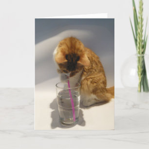 Tarjeta Gato lindo que bebe de feliz cumpleaños de la paja