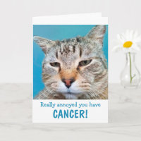 Gato Loco Con Cáncer Divertido