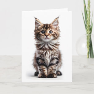 Tarjeta Gato Maine Coon de pelo largo y esponjoso saludo e