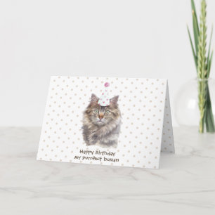 Tarjeta gato maine coon sombrero de fiesta celebrar cumple