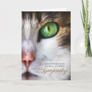Tarjeta Gato Mascota Simpatía Tabby Face Tender Mensaje