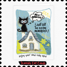 Gato Miedoso Nueva Casa