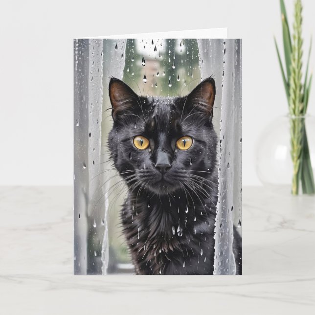 Tarjeta Gato mirando fuera de una ventana húmeda (Anverso)