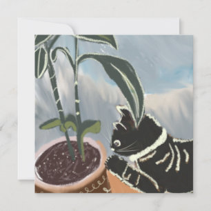 Tarjeta Gato mirando plantas de interior