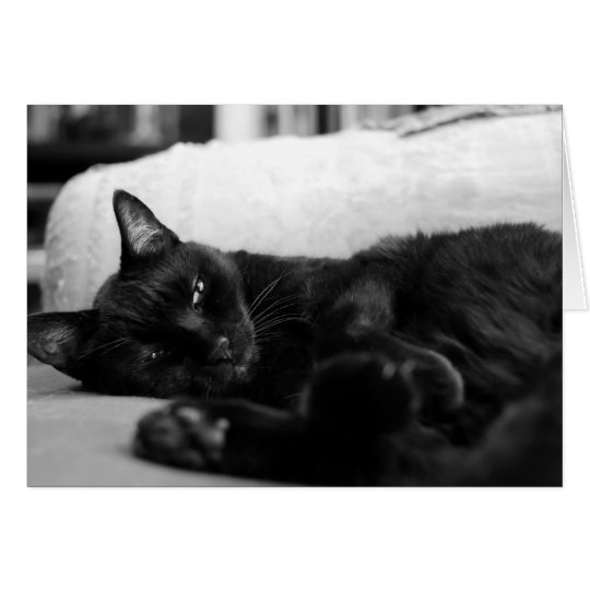 Tarjeta Gato Napping