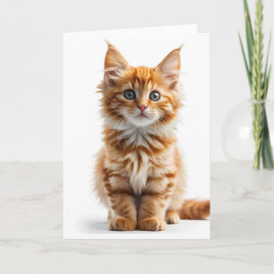Tarjeta Gato Naranja Atigrado de Pelo Largo y Esponjoso Ta