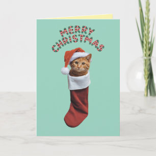 Tarjeta Gato Naranja Bonito Navidad Fiesta