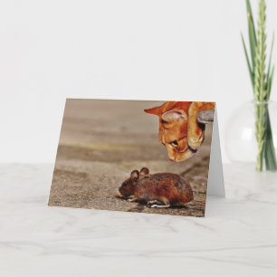 Tarjeta Gato Naranja juguetón con saludo en blanco del rat