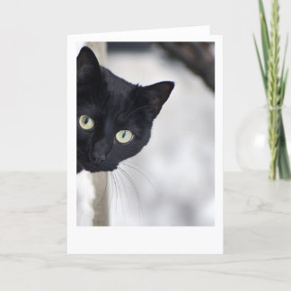 Tarjeta Gato negro