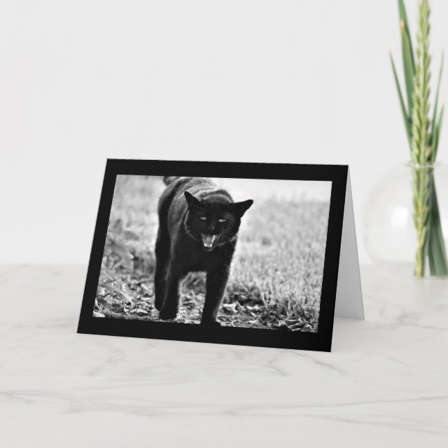 Tarjeta "Gato negro " (Anverso)