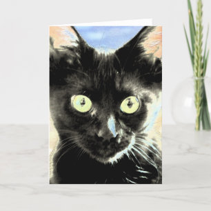 Tarjeta Gato negro