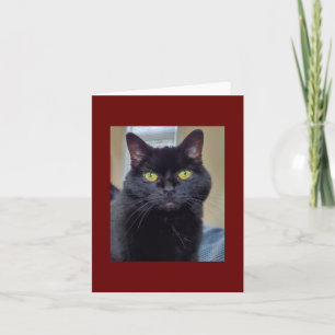 Tarjeta Gato negro