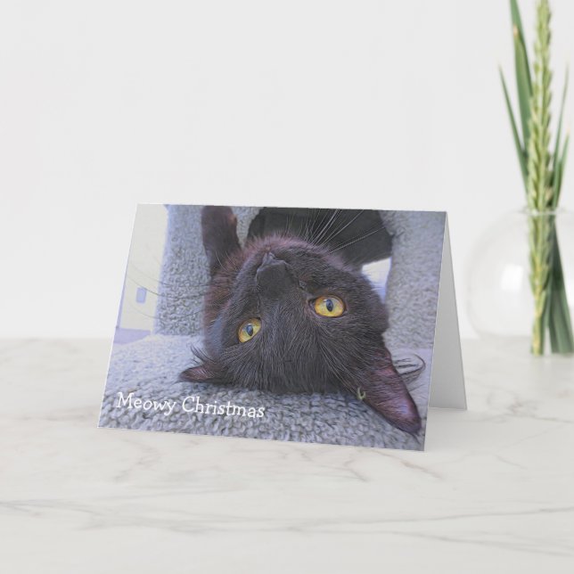 Tarjeta Gato negro (Anverso)