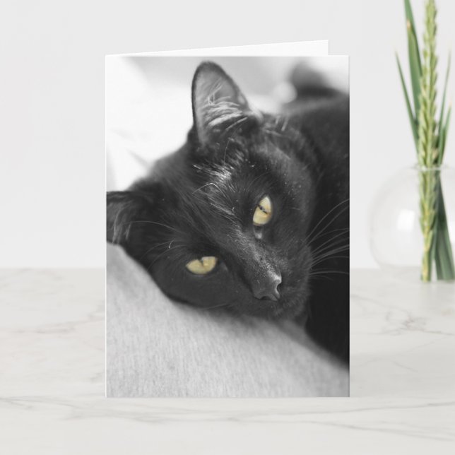 Tarjeta Gato negro (Anverso)