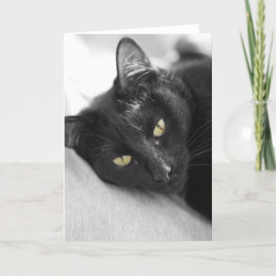 Tarjeta Gato negro