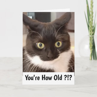 Tarjeta Gato negro