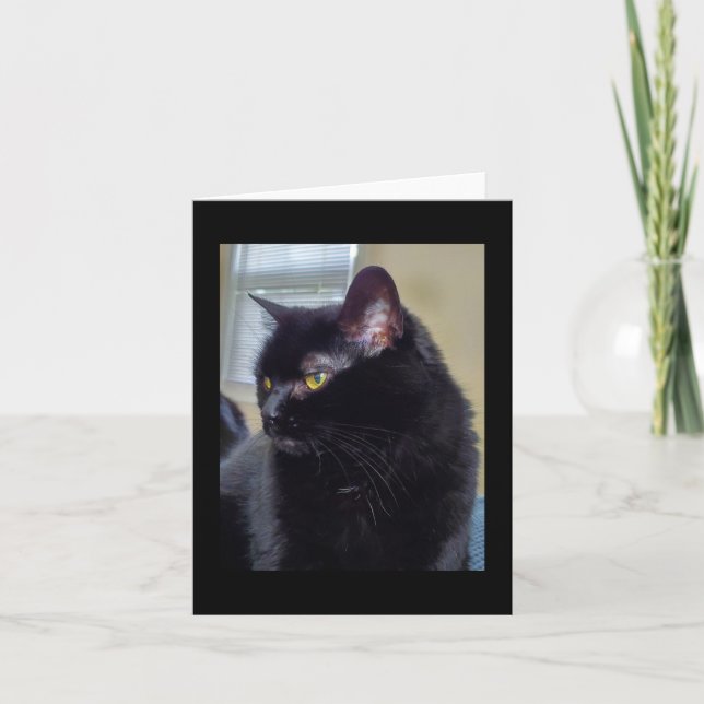 Tarjeta Gato negro (Anverso)