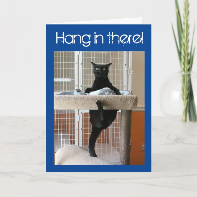 Tarjeta Gato negro aferrado al árbol de gatos (Anverso)