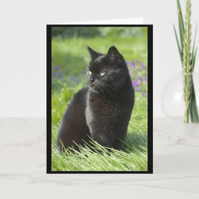 Tarjeta Gato negro afortunado (Anverso)