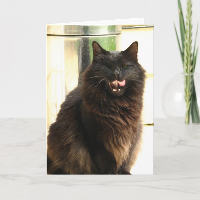 Tarjeta Gato negro de Halloween con un ojo (Anverso)