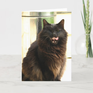 Tarjeta Gato negro de Halloween con un ojo