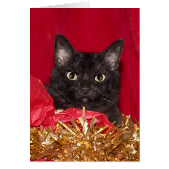 Tarjeta Gato negro del navidad