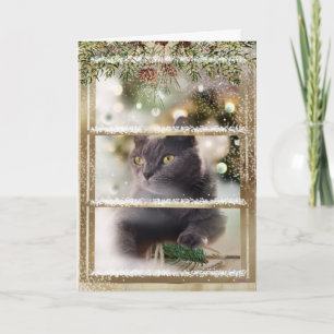 Tarjeta Gato negro dentro de la ventana de Navidades vacac