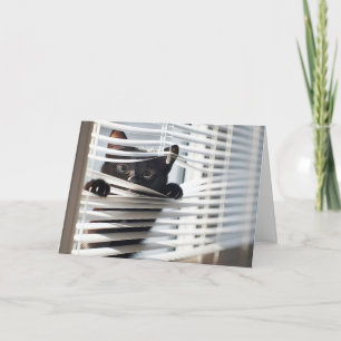 Tarjeta Gato negro en ciegas pensando en ti