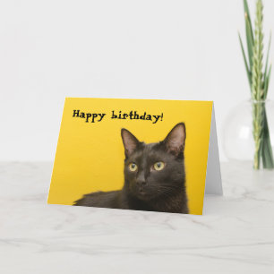 Tarjeta Gato negro en cumpleaños amarillo