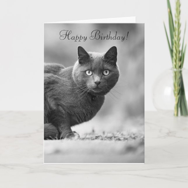 Tarjeta Gato negro feliz cumpleaños (Anverso)