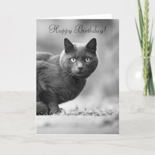 Tarjeta Gato negro feliz cumpleaños