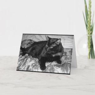 Tarjeta Gato negro serio