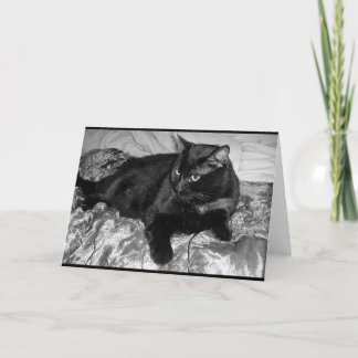 Tarjeta Gato negro serio