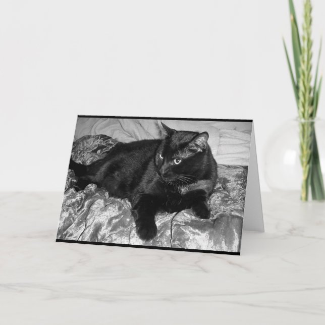 Tarjeta Gato negro serio (Anverso)
