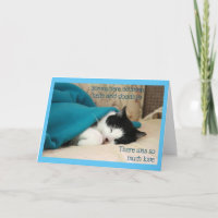 Gato negro y blanco durmiendo