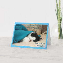 Tarjeta Gato negro y blanco durmiendo