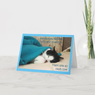 Tarjeta Gato negro y blanco durmiendo